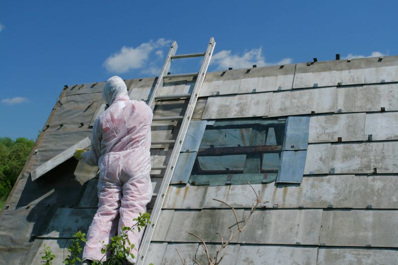 Asbestos Abatement Experts